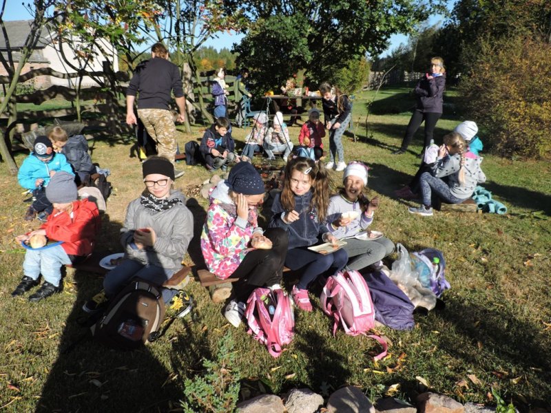 Święto pieczonego ziemniaka 2016